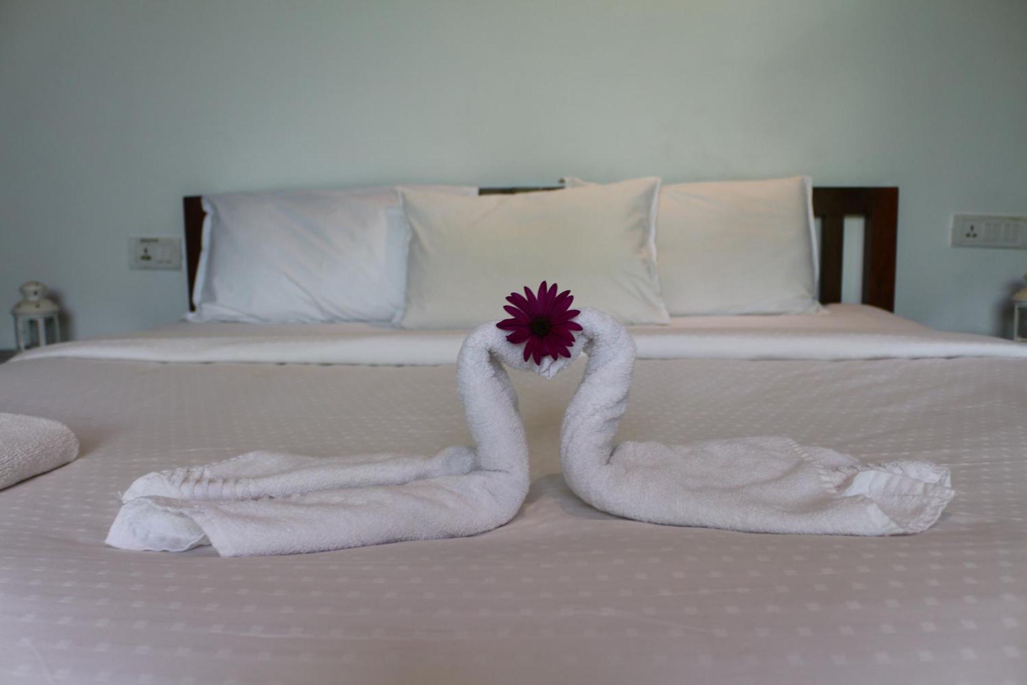 Logan Camp Ooty Otel Coonoor Dış mekan fotoğraf