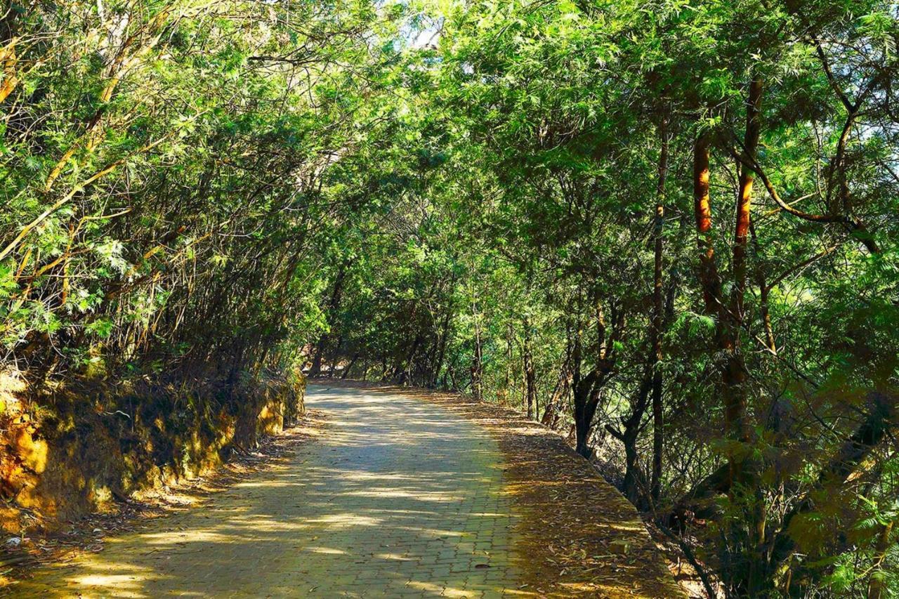 Logan Camp Ooty Otel Coonoor Dış mekan fotoğraf