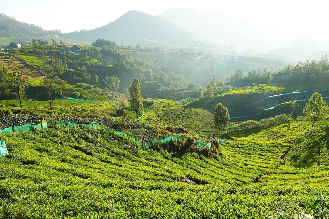 Logan Camp Ooty Otel Coonoor Dış mekan fotoğraf